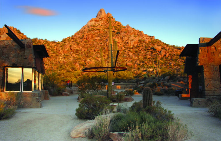 Mountains and cactus