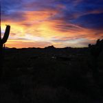 Sunset with cactus in foreground