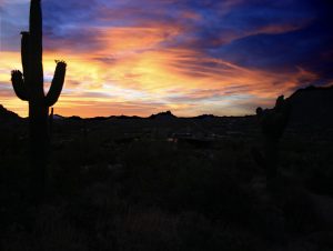 Sunset with cactus in foreground