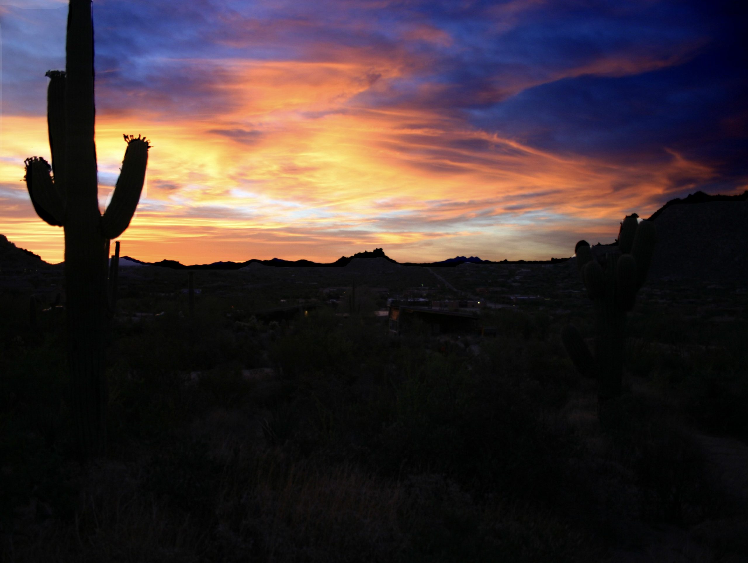Sunset with cactus in foreground