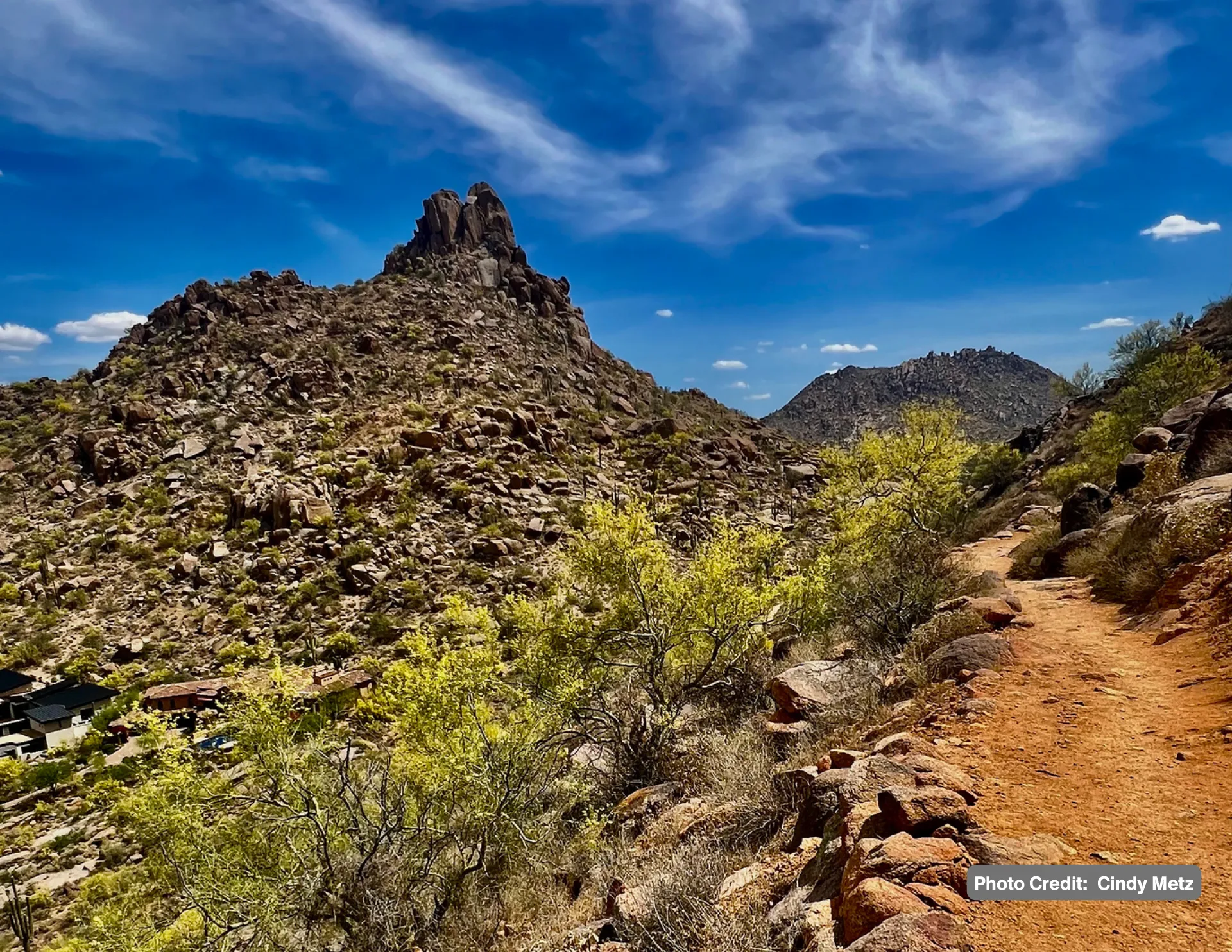 Friends of Pinnacle Peak Park Calendar - Image 8
