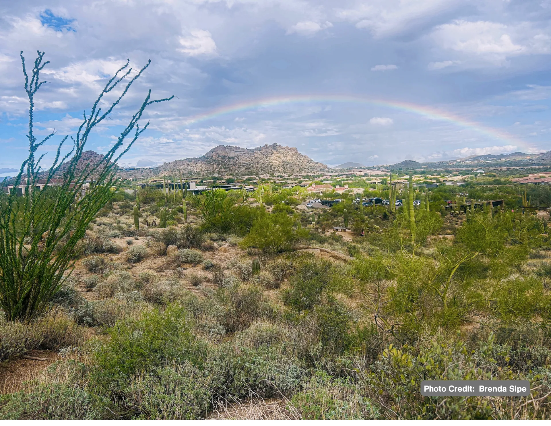 Friends of Pinnacle Peak Park Calendar - Image 9