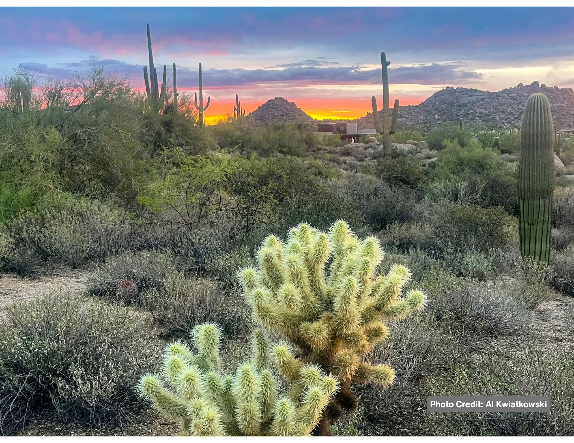 Friends of Pinnacle Peak Park Calendar - Image 10