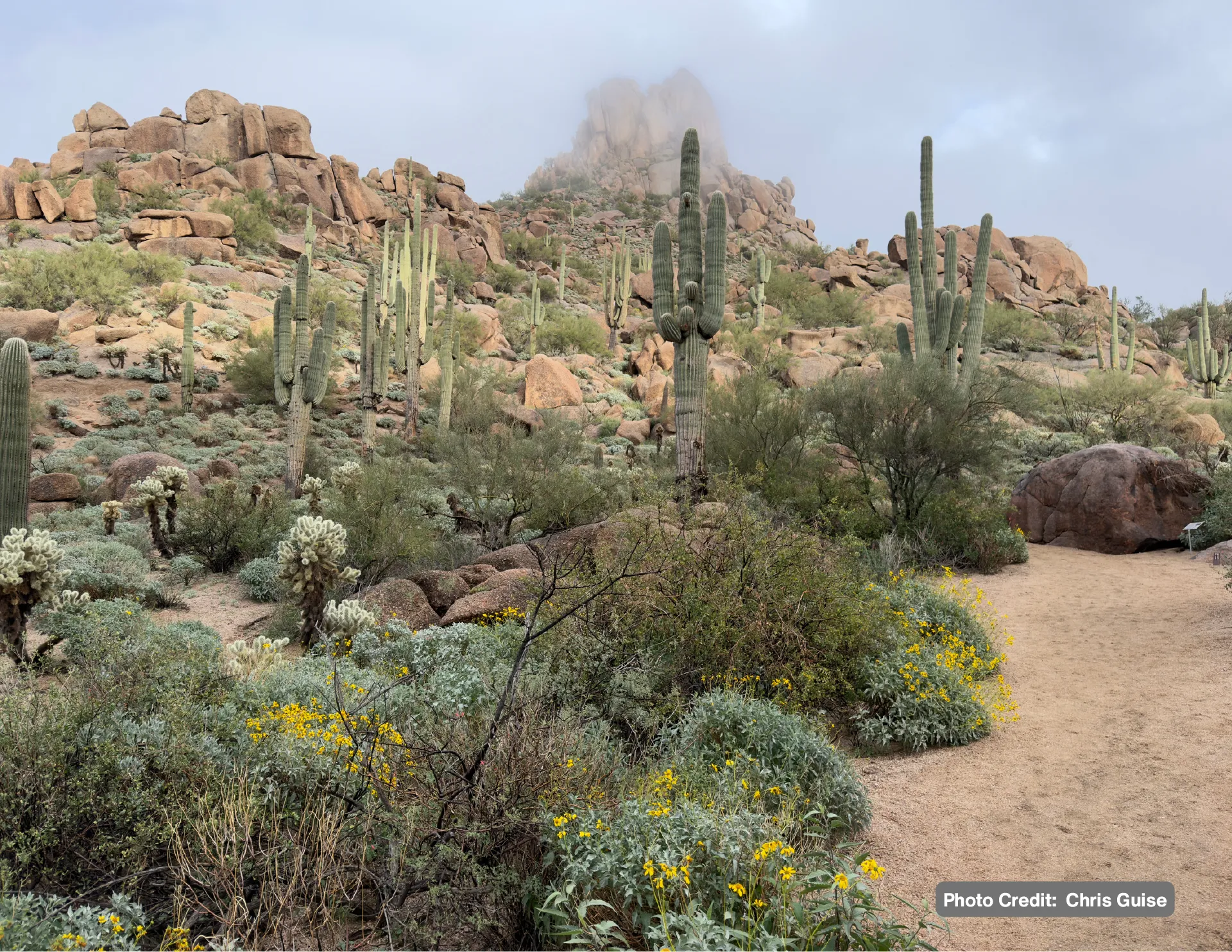Friends of Pinnacle Peak Park Calendar - Image 2