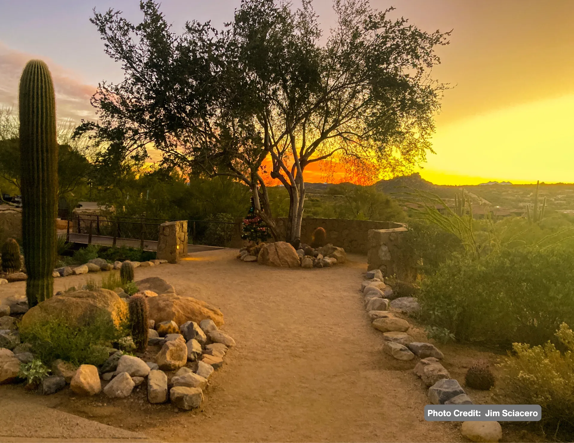 Friends of Pinnacle Peak Park Calendar - Image 3