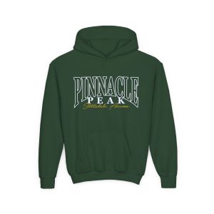 Pinnacle Arch Youth Hoodie (S-XL)