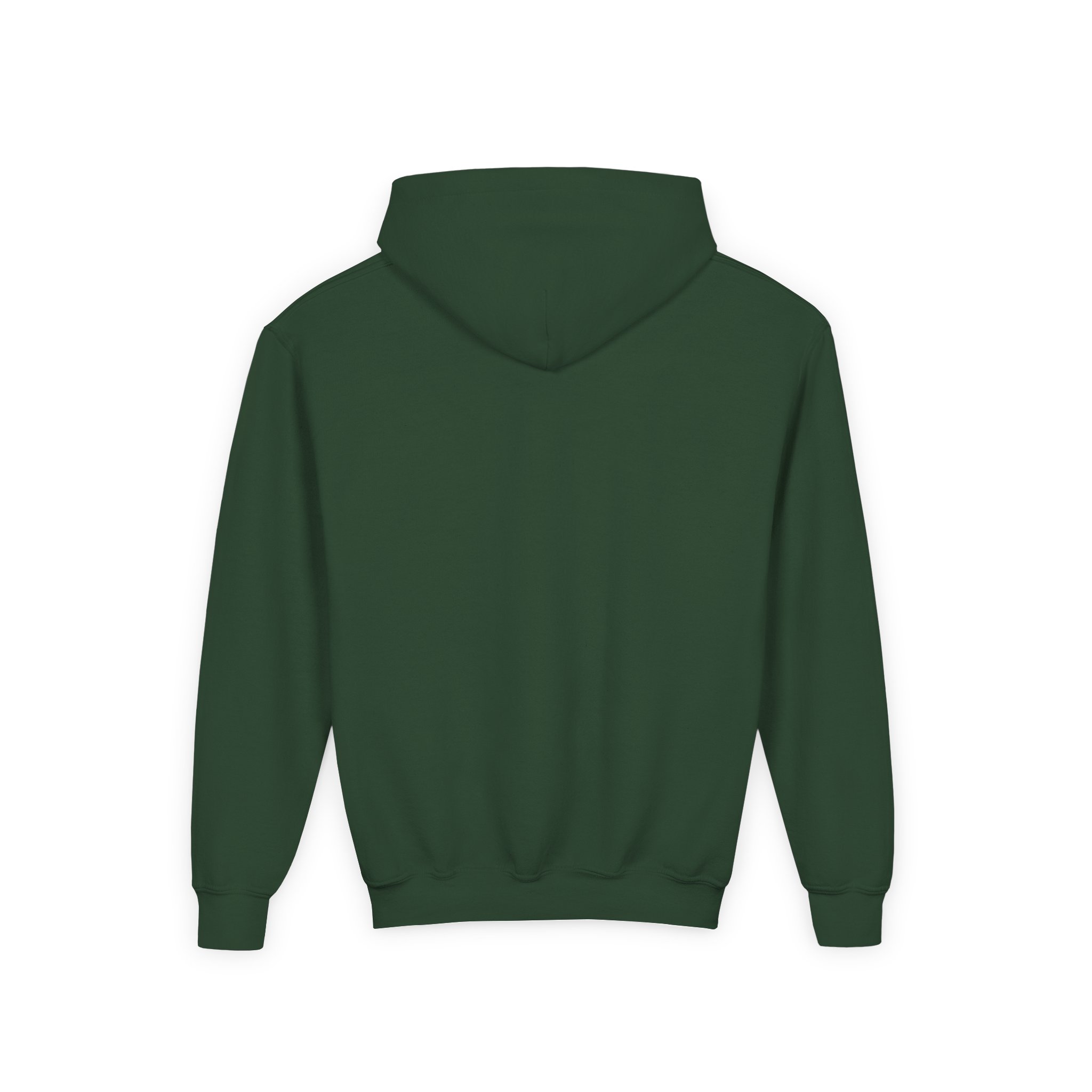 Pinnacle Arch Youth Hoodie (S-XL) - Image 2