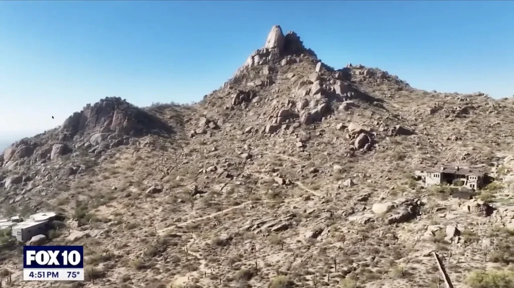 Fox Drone Zone